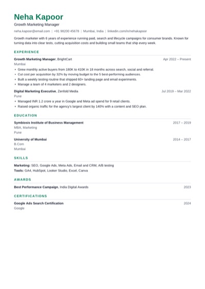 Modern resume template example