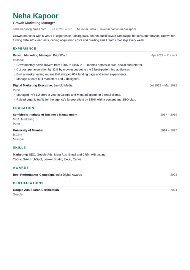Modern resume template preview