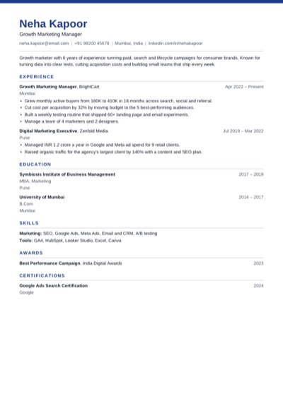 Professional resume template example