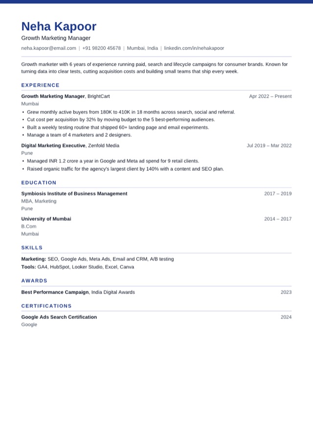 Professional resume template preview