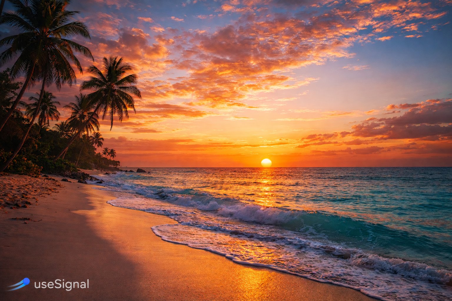 Sample beach image for Image Truth preview